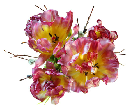 Bouquet of pink and yellow tulips. Top view.の写真素材