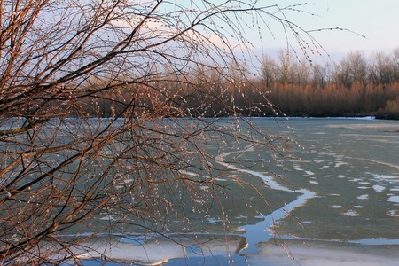 March. Ice drift on the river and pussy willowの写真素材
