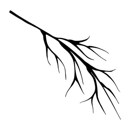 Doodle tree branch. Vector linear botanical illustration. Zentangle coloring book. Floristic sketch graphics. Isolated element.のイラスト素材