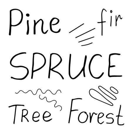 A set of inscriptions Pine, Spruce, Forest, Tree, Fir line art. Hand drawn vector illustration. Simple sketch graphics. Isolated design elements.のイラスト素材