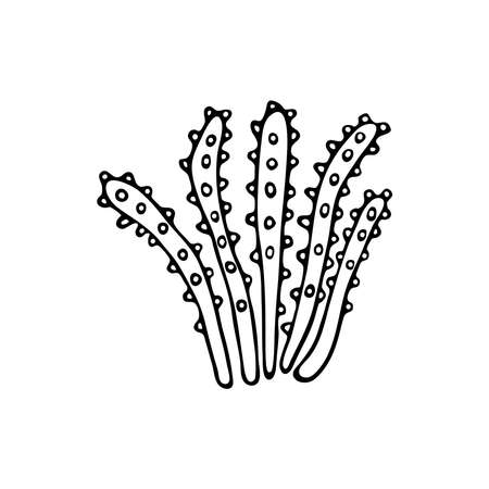 Doodle style sea coral reef. Invertebrates are an animal of the seabed. Coral polyp skeleton. Aquarium decor. Algae of the ocean. Hand drawn thin line art vector illustration. Isolated simple element.のイラスト素材
