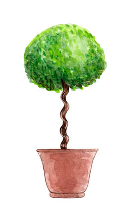 watercolor potted plants. Trees in containers. flower beds in pots. garden landscaping. home flowers. floral compositions. Hand drawn illustration isolated on white background.の写真素材