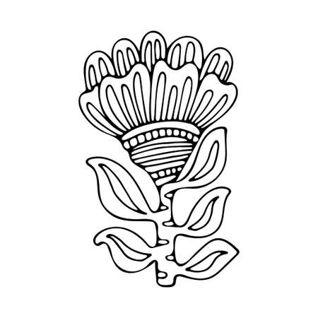 Coloring page flower line art. Floral fairy pattern of garden plant. Hand drawn vector illustration. Simple tribal doodle. Summer coloring book for children and adults.のイラスト素材