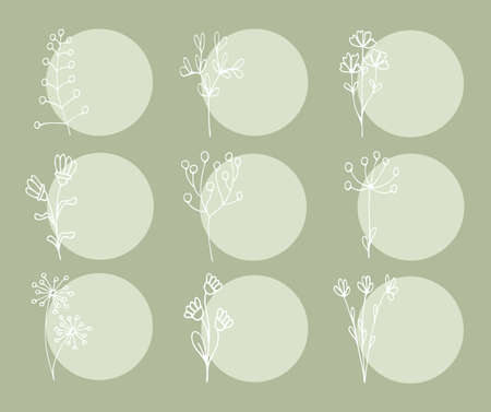 Highlight round covers social media stories. Vector elements leaves copy space for blog, labels, cards. Minimalistic background. Botanical design.のイラスト素材