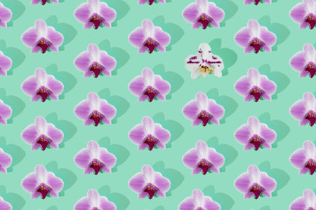 Pattern with pink orchid flowers and one differente. Mint background.の写真素材