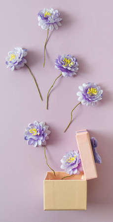 Blue flowers getting out from gift box. Violet back graund.の写真素材