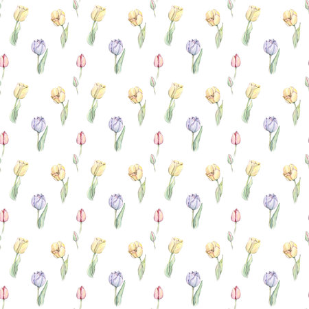 Seamless pattern with watercolor tulips. Hand-drawn illustration. White backgroundの写真素材