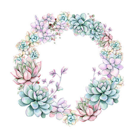 Watercolor succulent wreath. Hand painted succulents isolated on white background.の写真素材
