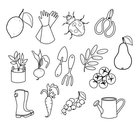 Set of hand drawn doodle gardening items. Vector illustration.のイラスト素材