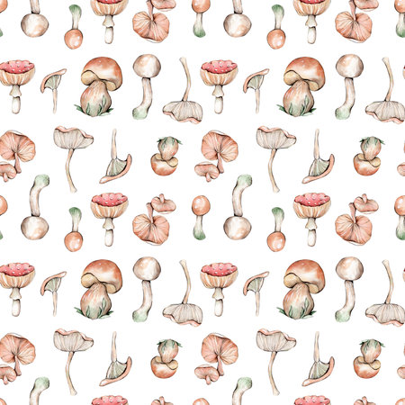 Watercolor mushrooms seamless pattern. Hand painted illustration on white background.の写真素材
