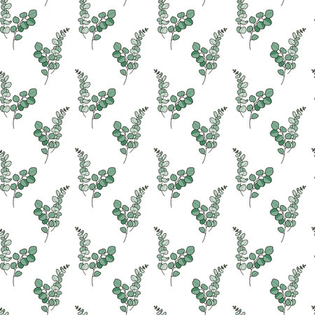 Seamless pattern with eucalyptus branches on a white backgroundの写真素材