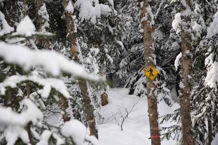 snowshoeing path and sign in snow covered pine forest near Baie Saint-Paul, Quebec, Canadaの写真素材