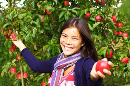 Smiling autumn woman picking and giving apples from tree.の写真素材