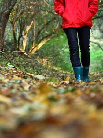 Autumn walk with copy space. Woman walking in the forest on a beautiful fall day.の写真素材