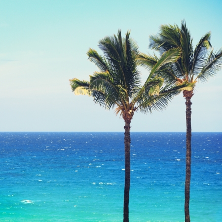 Blue beach ocean palm trees background. Tropical travel concept with deep turquoise blue sea and copy space. From Hawaii.の写真素材