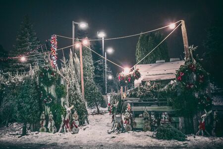 Christmas tree shopping at outdoor small market at night.