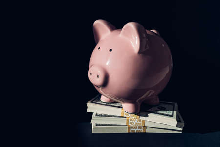 Wealth management concept. Stacks of 100 US dollar bills savings piled under piggy bank concept. Budget, investment, economy.の写真素材