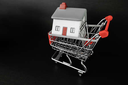 House hunting real estate concept. Small home in shopping cart for buying new property, homeownership.の写真素材