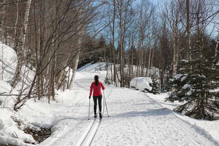 Cross Country skiing Classic Style Nordic Skiing in Forest. Woman in winter doing fun winter sport activity in the snow on cross country ski in beautiful nature landscapeの写真素材
