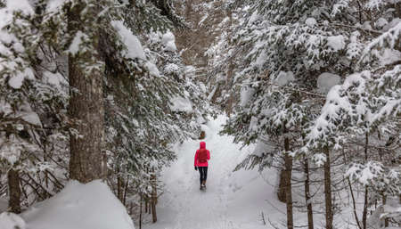 Winter forest snowshoe winter activity. Snowshoeing woman in winter forest with snow covered trees. People on hike in snow hiking in snowshoes living healthy active outdoor lifestyle.の写真素材