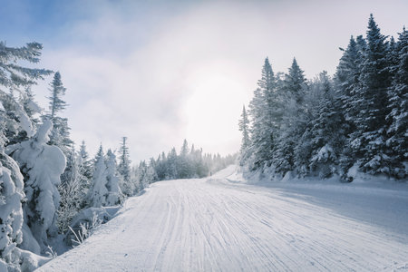 Alpine Downhill Skiing Nature Winter Landscape On Cold Day With Snow Covered Trees On Ski Trail Slope Piste.の写真素材
