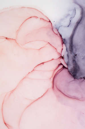 Alcohol ink on the black background. Style incorporates the swirls of marble or the ripples of agate. Painting can be used as a trendy background for wallpapers, posters, cards, invitations, websites.の写真素材