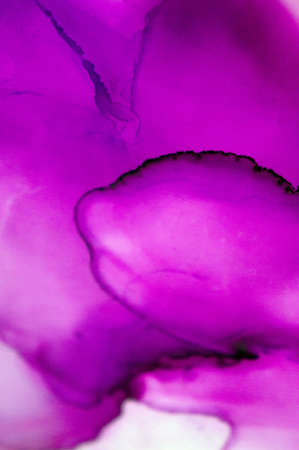 Alcohol ink. Artistic bright splash. Liquid artwork. Purple marble texture. Abstract ethereal swirl. Contemporary art. Abstract art background. Multicolored bright texture. Sophisticated illustration.の写真素材