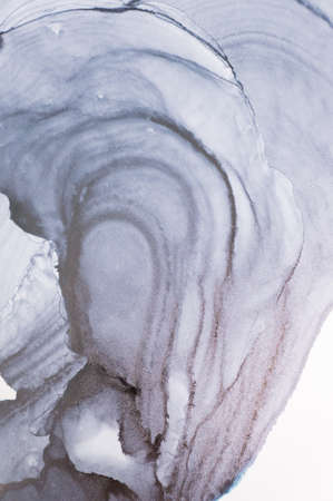 Abstract created using the technique of Alcohol ink. Macro photography of the smallest details of a...