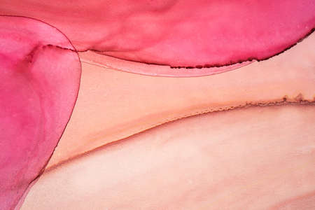 Abstract created using the technique of alcohol ink. Macro photography of the smallest details of a panting. The panting shows how overflows of shades and colors of paint resemble space motifs.の写真素材