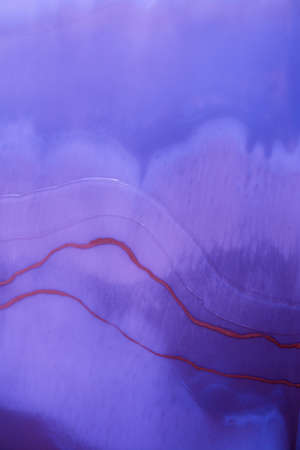 Liquid flow texture paint. modern art background. abstract epoxy resin painting. Green waves with...