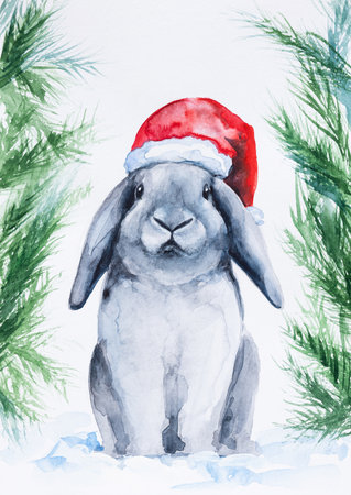 Hare is a symbol of the new year 2023. Decor for greeting card or flyer, postcard , booklet, leaflet. Hand drawn watercolor illustration isolated on white background.の写真素材