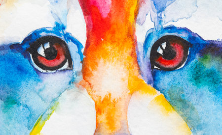 raccoon painted in watercolor on a white background in a realistic manner, colorful, rainbow. Ideal for teaching materials, books and nature-themed designs.の写真素材