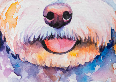 dog painted in watercolor on a white backgroundの写真素材