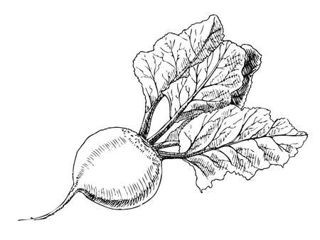 undefinedのイラスト素材