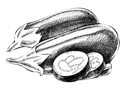 Vector hand drawn vegetable Illustration. Detailed retro style hand-drawn eggplants sketch. Vintage sketch element for labels, packaging and cards design.のイラスト素材