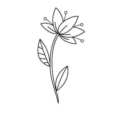 Contour black-and-white drawing of a decorative lily flower with stamens and leaf. vector illustration. coloring page.のイラスト素材