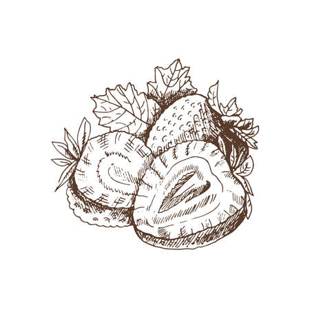 Vector sketch of fresh organic strawberries, slices. hand drawn illustration. Summer fruit and berries engraved style illustration. Great for label, poster, print.のイラスト素材