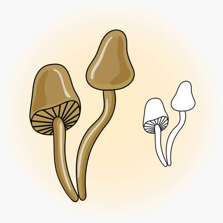 Forest poisonous Vector mushrooms. Vector illustration in cartoon style. Poison. Icon, set, outline, coloring page.のイラスト素材