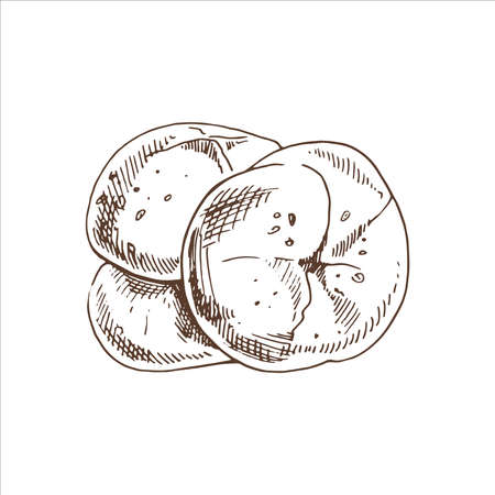 Vector hand drawn illustration of roll, bun. Brown and white bread drawing isolated on white background. Sketch icon and bakery element for print, web, mobile and infographics.のイラスト素材