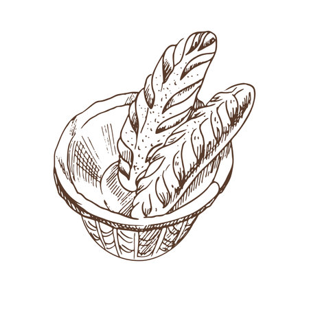 Vector hand drawn illustration of wicker basket with baguettes. Brown and white bread drawing isolated on white background. Sketch icon and bakery element for print, web, mobile and infographics.のイラスト素材