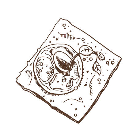 Vector hand drawn illustration of crispbread with tomato, herbs and olives. Brown and white pastry drawing isolated on white background. Sketch icon and bakery element for print.のイラスト素材