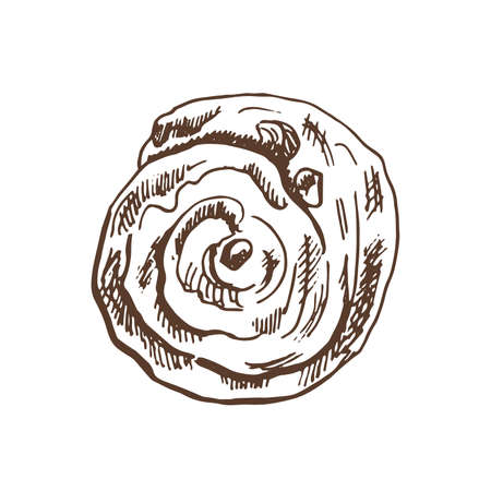 Vector hand drawn illustration of sweet bread, pastry, muffin, cinnabon bun. Brown and white pastry drawing isolated on white background. Sketch icon and bakery element for print, web, mobile.のイラスト素材