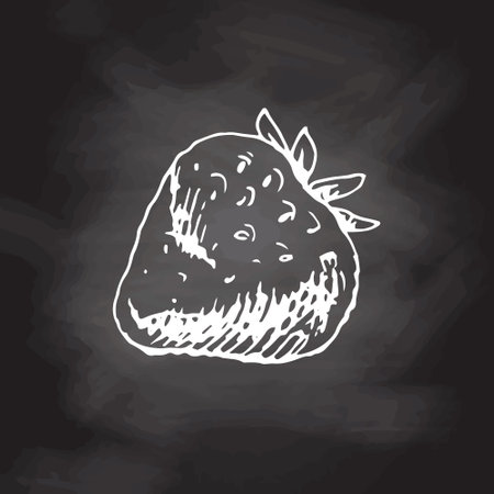 Vector sketch of fresh organic strawberries. Hand drawn white sketch on black chalkboard. Great for label, poster, print.のイラスト素材