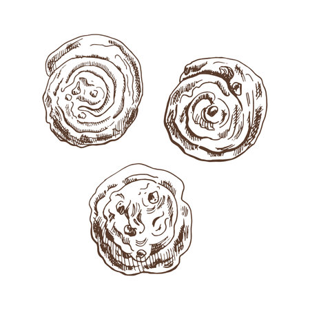 Vintage hand drawn sketch style cinnamon buns set. Sweet bread on white background. vector illustration. Icons and elements for print, web.のイラスト素材