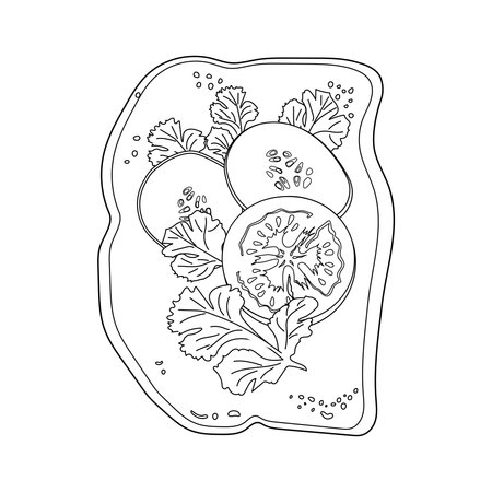 Outline Toast with tomatoes, parsley and cucumbers. Vegetable toast on grilled bread slice. open sandwich. Vegan snack food. vector illustration.のイラスト素材