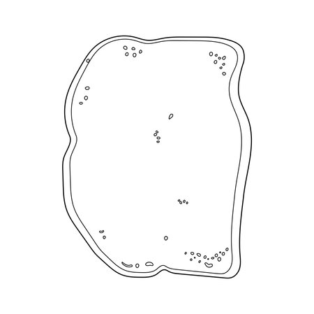 Outline Slice of bread, toast, top view. Grilled bread slice. Vegan snack food. vector illustration.のイラスト素材
