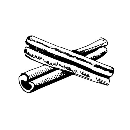 Two cinnamon sticks hand drawn sketch. vector illustration.のイラスト素材
