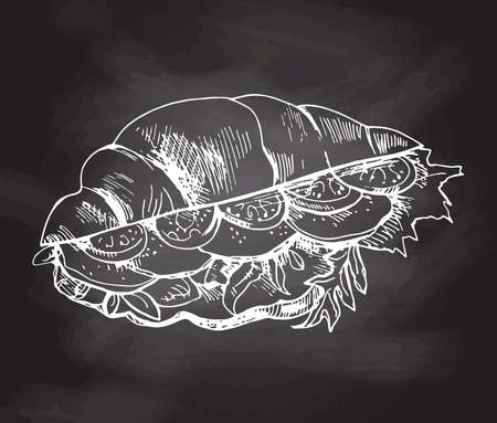 Hand drawn Sketch of Croissant stuffed with lettuce, cheese and tomatoes. vector illustration. Food elements for menu design. White sketch isolated on black chalkboard.のイラスト素材