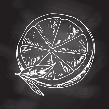 Hand drawn vector lemon sketch. Blossom plant with two leaves. lemon half. Citrus. Orange, lime, grapefruit. White sketch isolated on black chalkboard. Icons and elements for print, labels, packaging.のイラスト素材