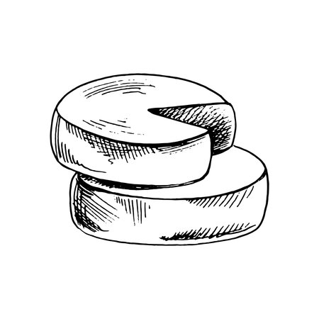 Gouda cheese wheels. Ink sketch isolated on white background. hand drawn vector illustration. Vintage style drawing.のイラスト素材